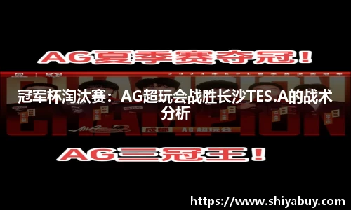 evo视讯真人官网
