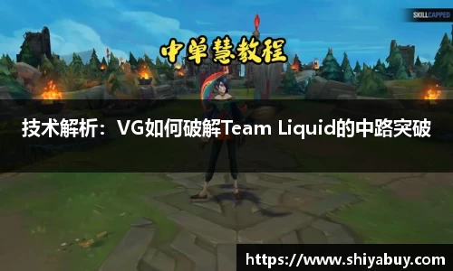 evo视讯