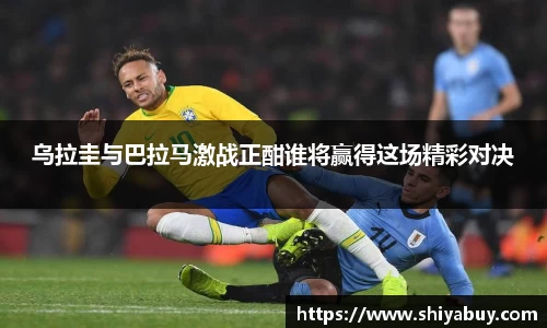 米兰体育官网